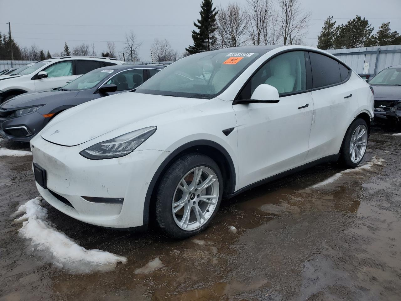 2022 TESLA MODEL Y